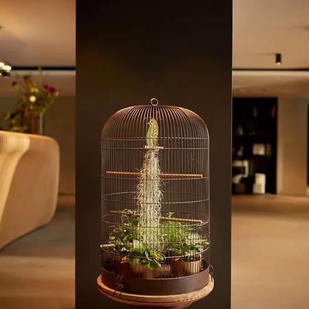 公园广场酒店&度假村 4* 阿姆斯特丹