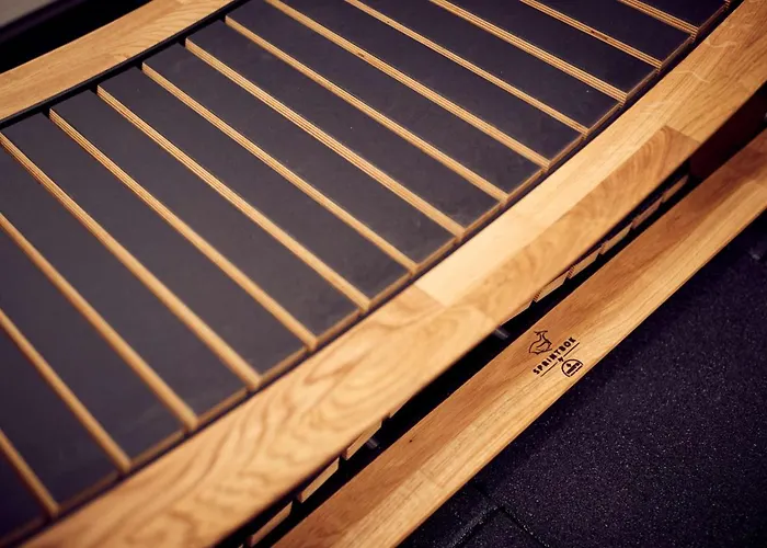 Hotel Park Plaza Vondelpark Ámsterdam